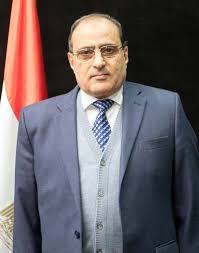 أمير سيد ويكيبيديا، من هو أمير سيد وزيرا الاسكان والمجتمعات العمرانية