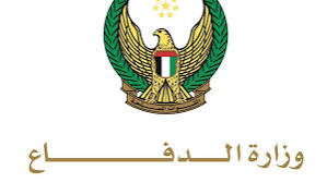 مقتل وإصابة 19 جندي إماراتي، ماهو سبب مقتل الجنود الإماراتيين