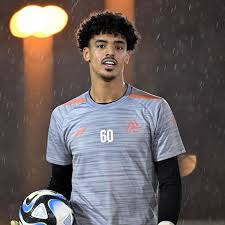 حامد الشنقيطي - ويكيبيديا