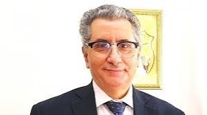 برهان الكامل ويكيبيديا، من هو السفير برهان الكامل