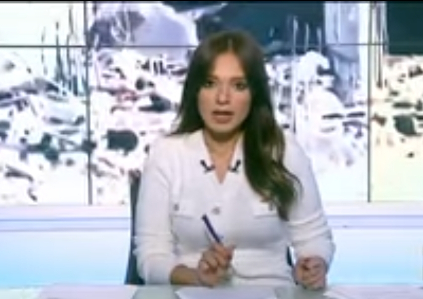 هايدي عبدالرازق ويكيبيديا