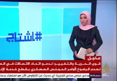 مهج حسن ويكيبيديا. من هي مهج حسن مراسلة الجزيرة