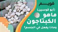 ما هو الكبتاجون ويكيبيديا