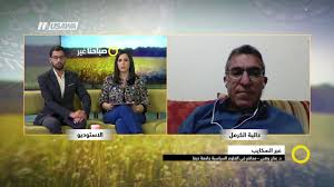 عنان وهبي ويكيبيديا. من هو عنان وهبي ويكيبيديا