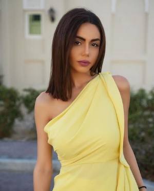 شمس الملا ويكيبيديا، من هي شمس بسام الملا عمرها ديانتها زوجها أصلها