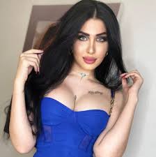 من هو زوج ميرا النوري ويكيبيديا