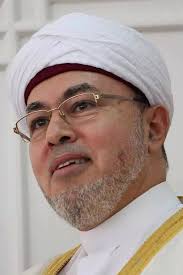 صلاح الدين التجاني ويكيبيديا، السيرة الذاتية