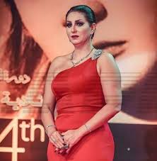 وفاء عامر ويكيبيديا